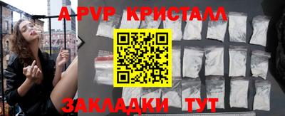 шишки Заволжье