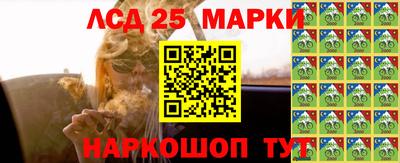 шишки Заволжье