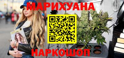 шишки Заволжье