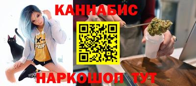 шишки Заволжье