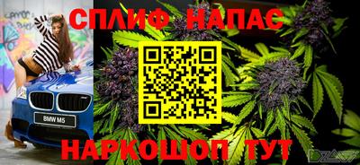 шишки Заволжье
