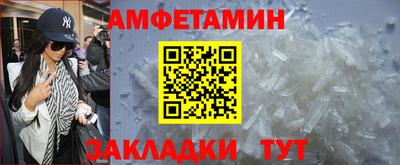 шишки Заволжье