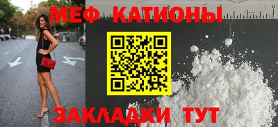 шишки Заволжье